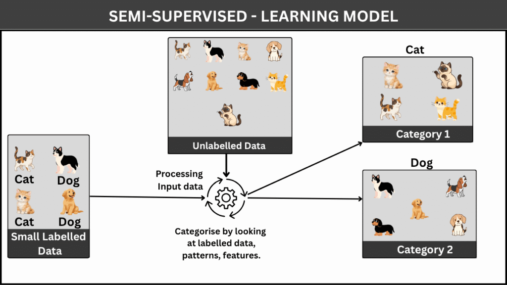 The image illustrates the Semi - Supervised Learning where the model learns from both labelled data and patterns from unlabelled data.