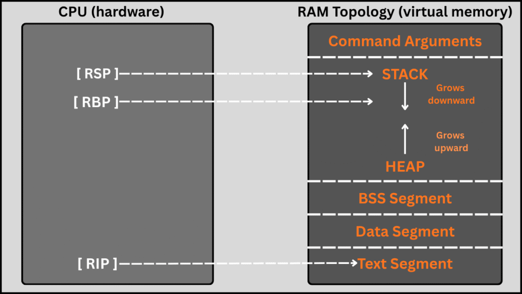 Diagram comparing CPU registers on the left with RAM virtual memory topology on the right. It shows RIP pointing to the Text Segment, RSP pointing to the top of the Stack, and RBP pointing to the Stack frame base anchor. It highlights the Stack growing downward and the Heap growing upward toward each other.